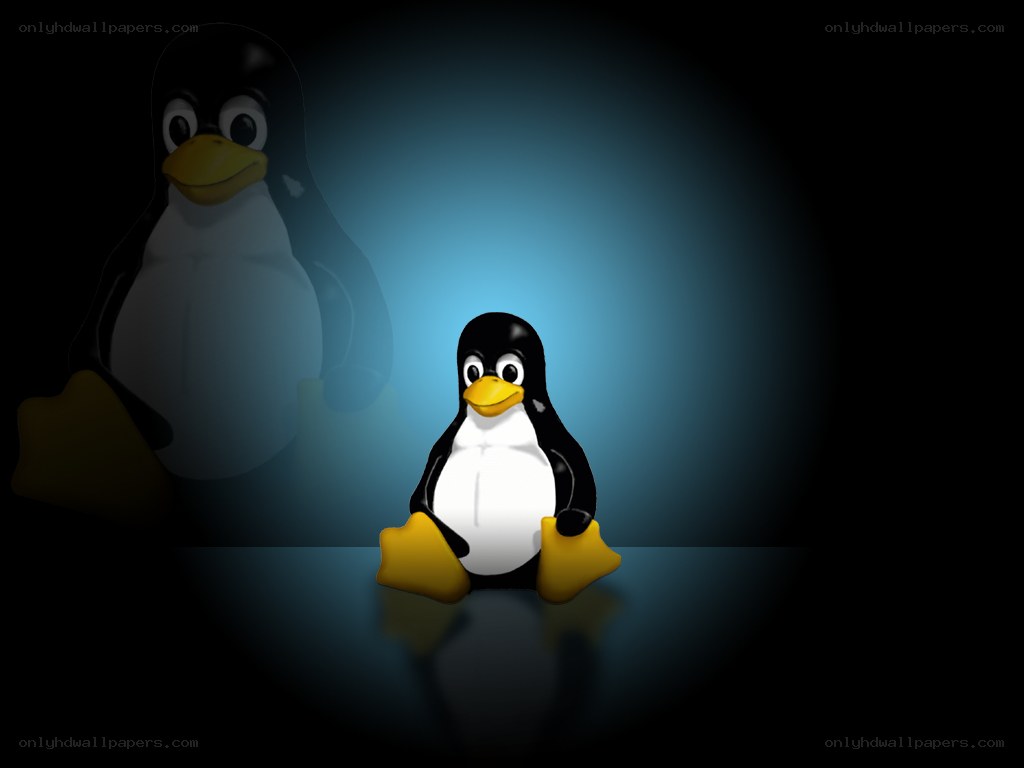 Tux the penguin in spotlight