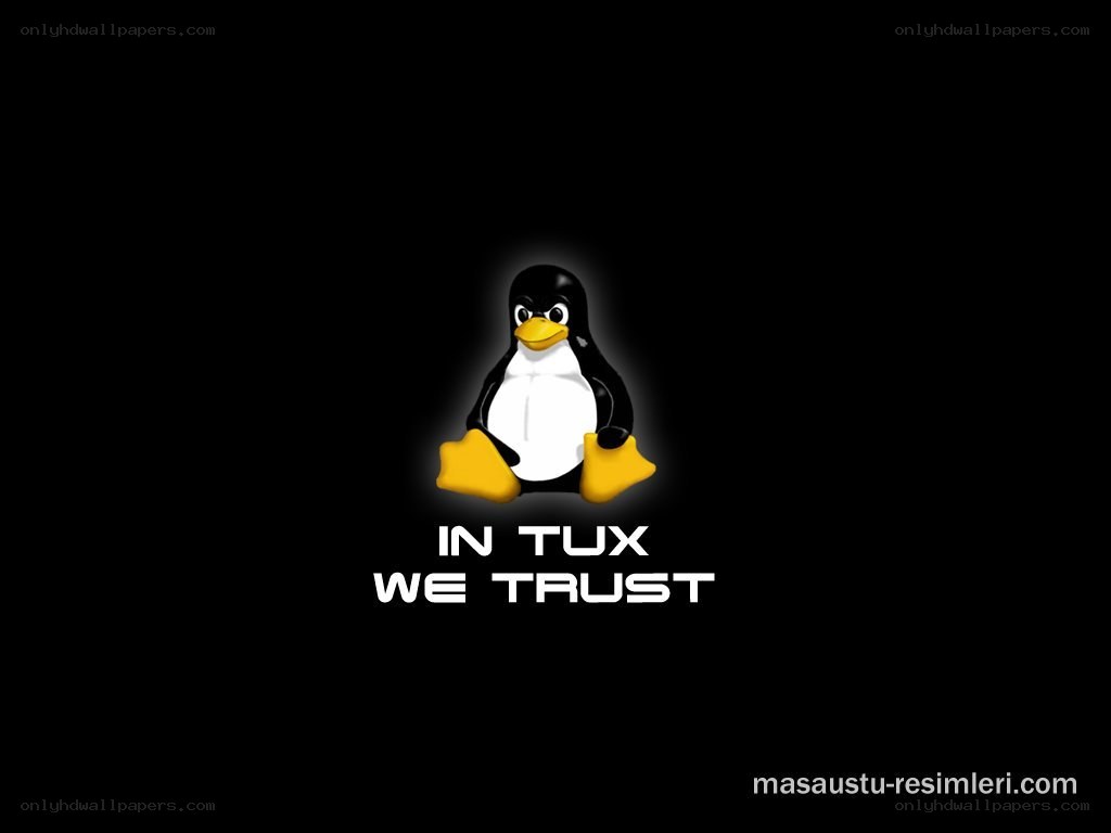 Tux the penguin logo