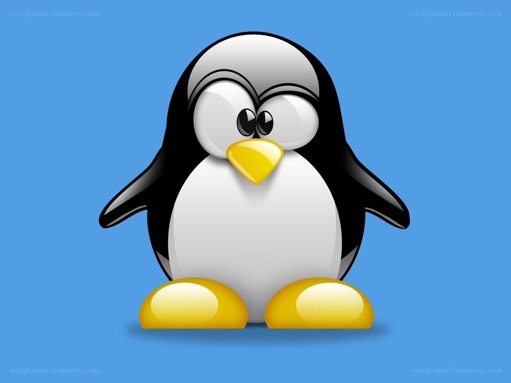 Tux the penguin mascot