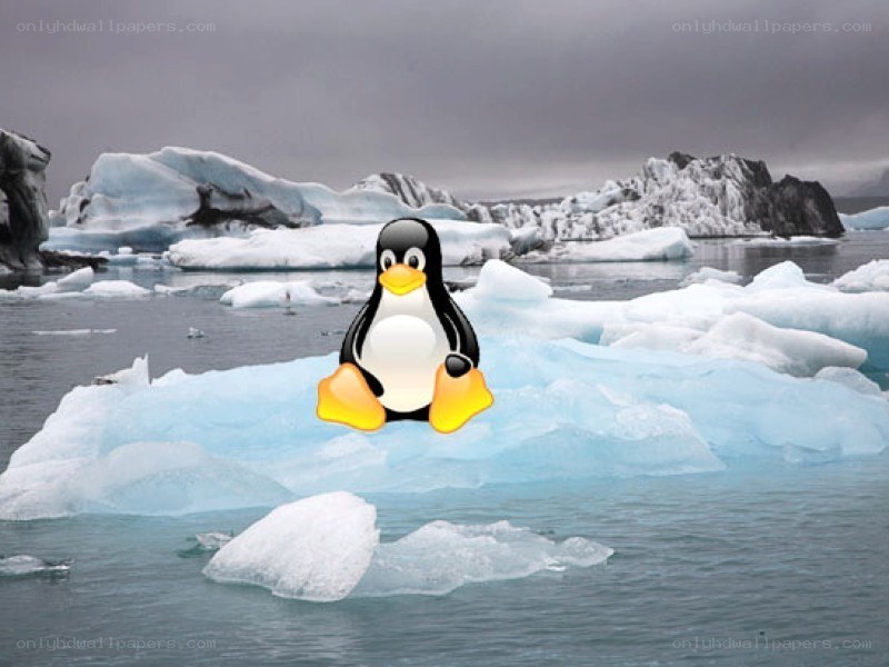 Tux the penguin on an iceberg