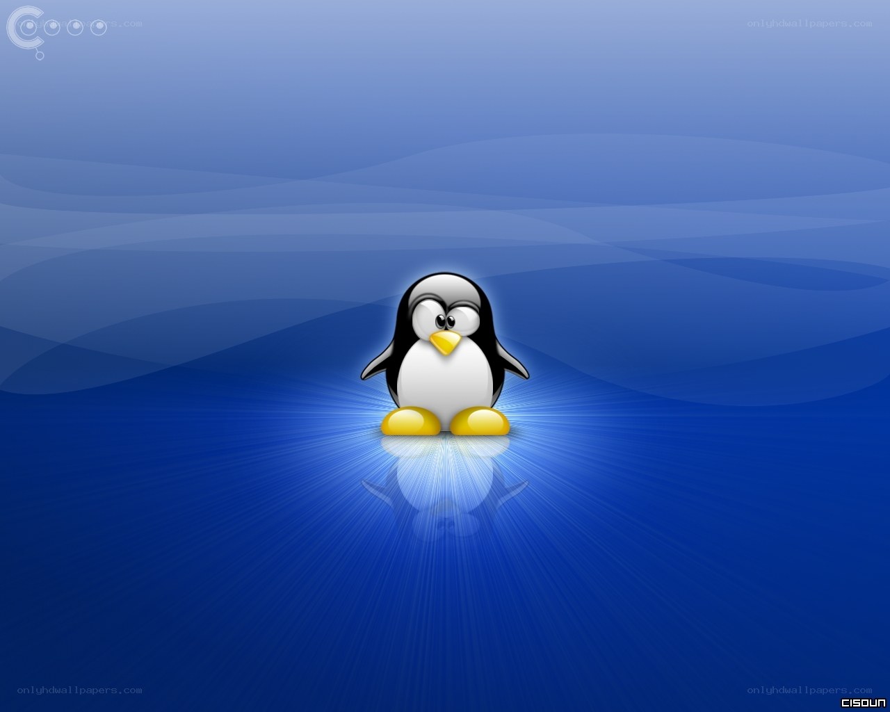 Tux the penguin on blue