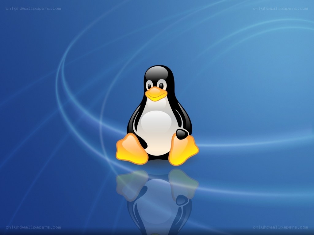 Tux the penguin on blue background
