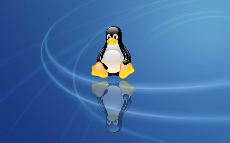 Tux the penguin on blue background