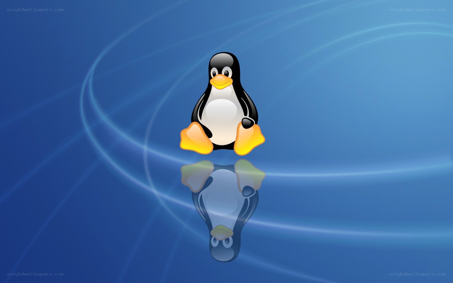 Tux the penguin on blue background