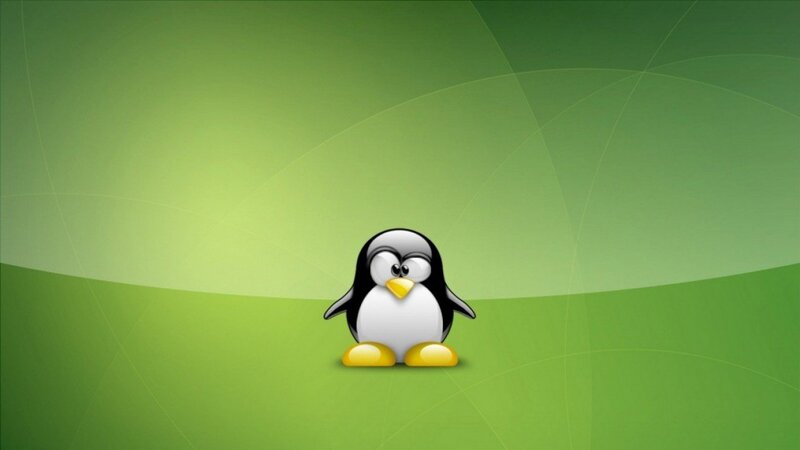 Tux the penguin on green