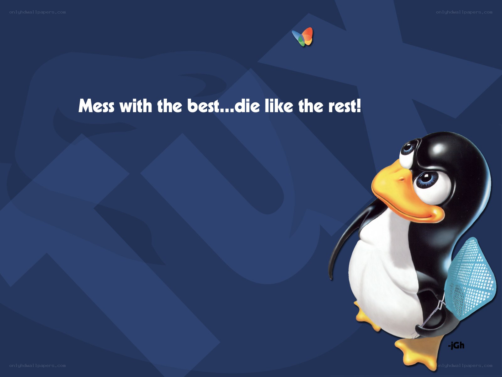 Tux the penguin with a net