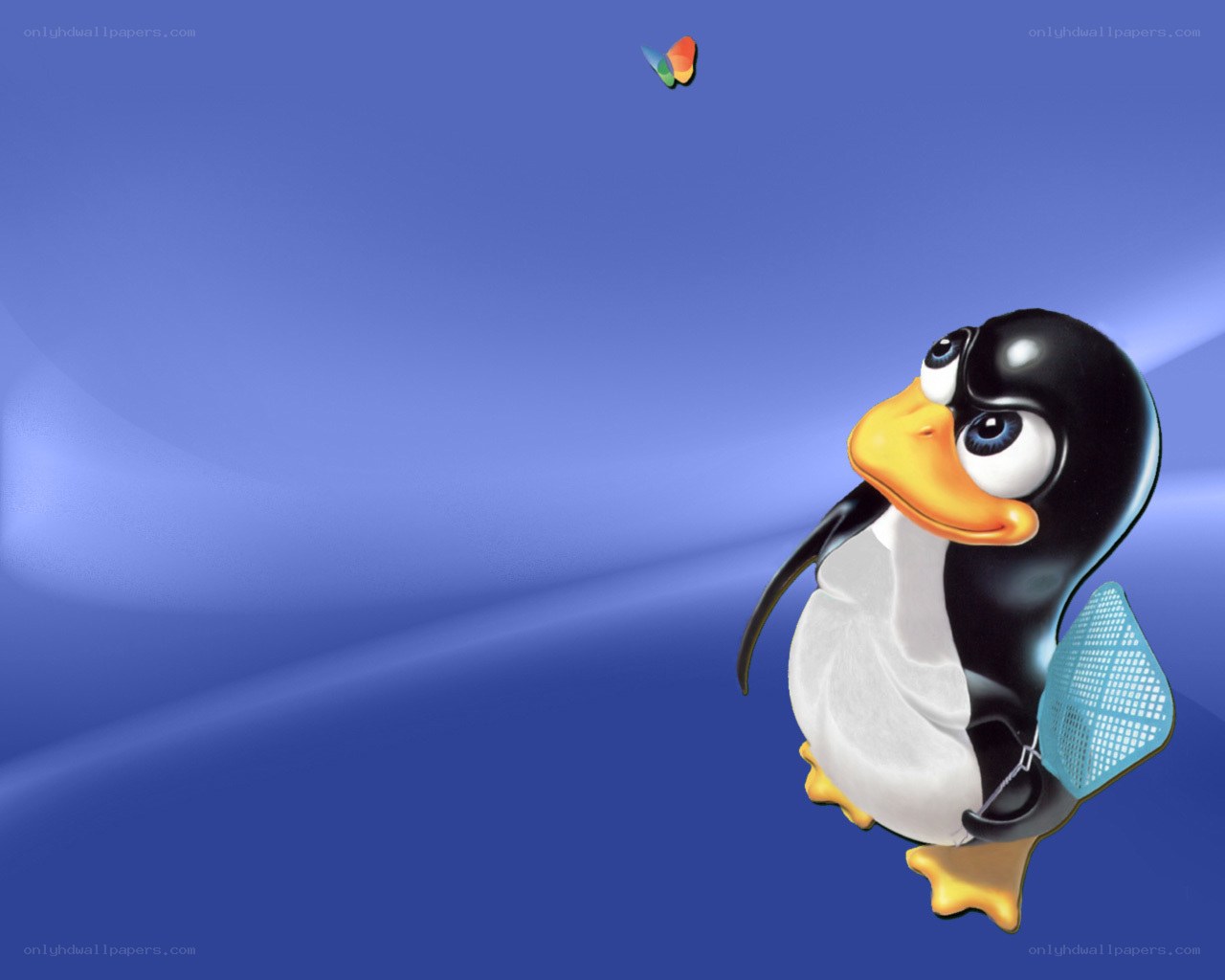Tux the penguin with butterfly