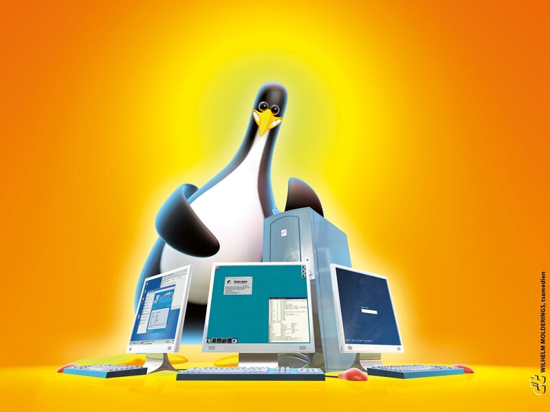 Tux the penguin with computers