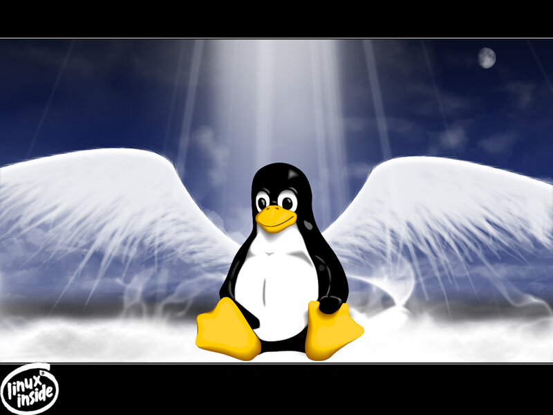 Tux with angel wings