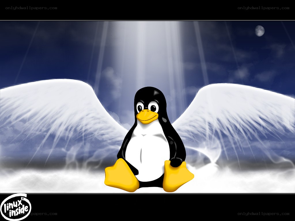 Tux with angel wings
