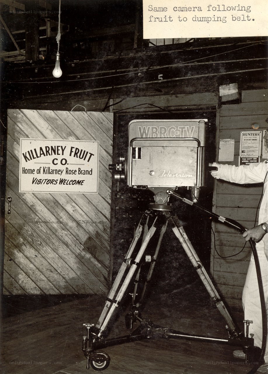 TV camera at Killarney Fruit Co.