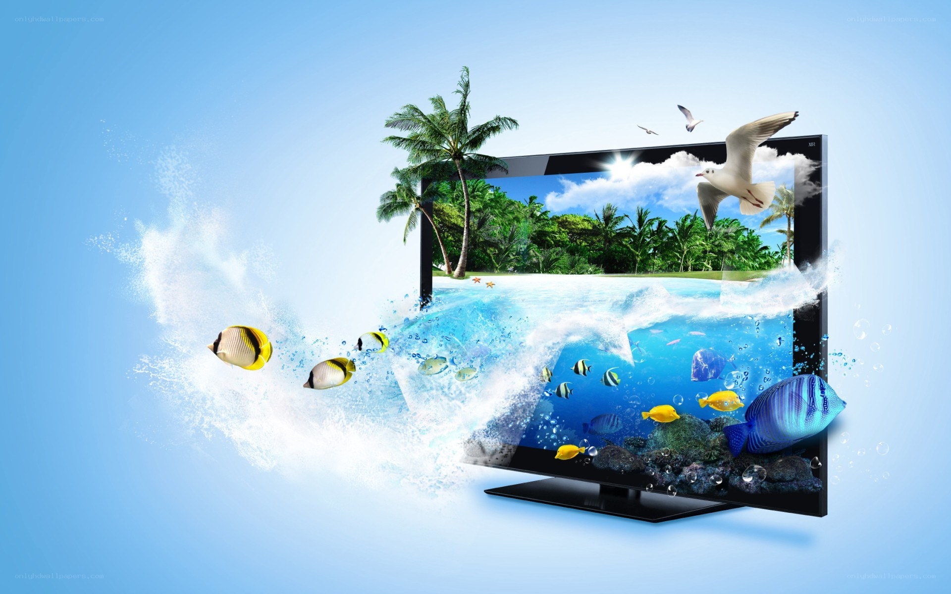 TV with ocean scene