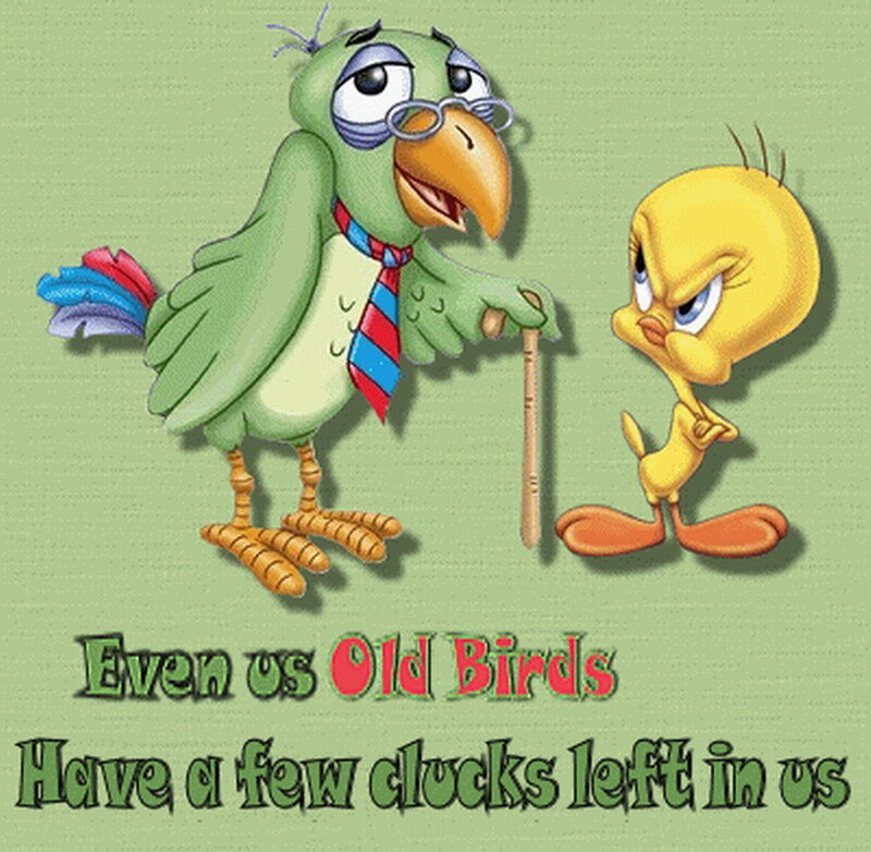 Tweety and an Old Bird
