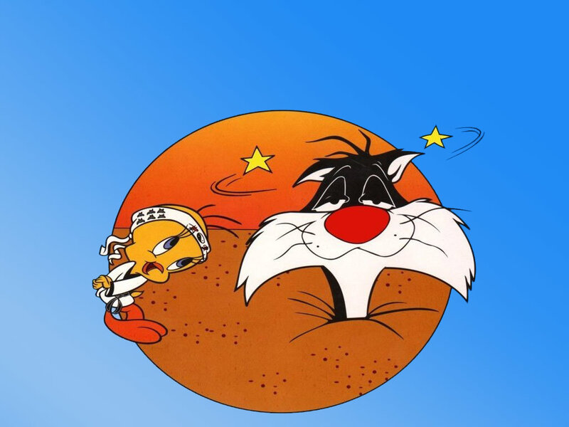 Tweety and Sylvester in karate