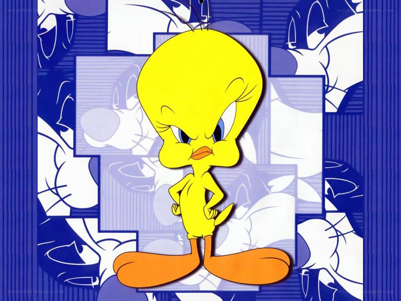Tweety Bird character art