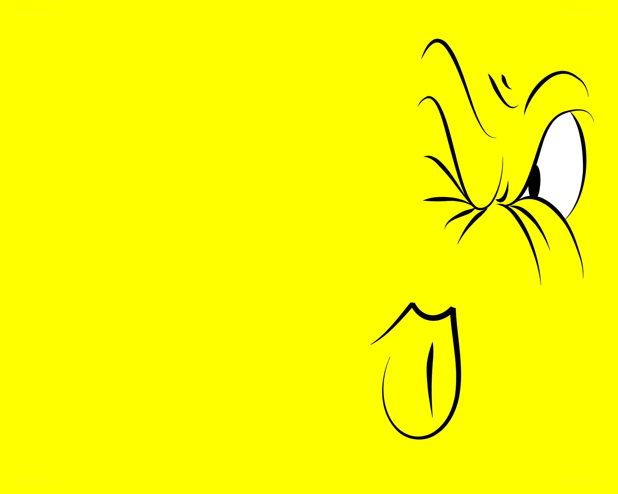 Tweety Bird face