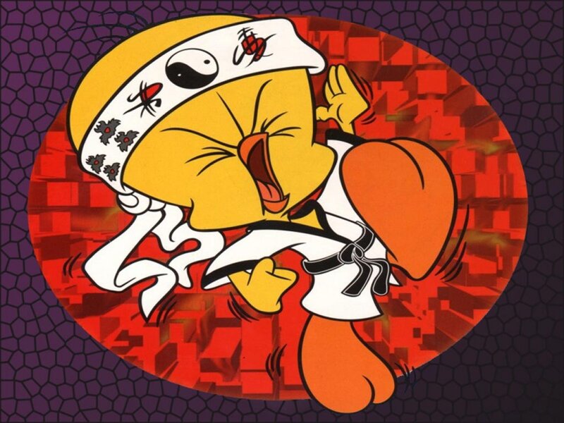 Tweety Bird in Karate