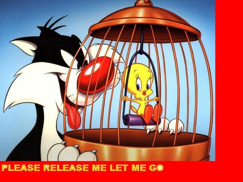 Tweety in a Birdcage — Blue