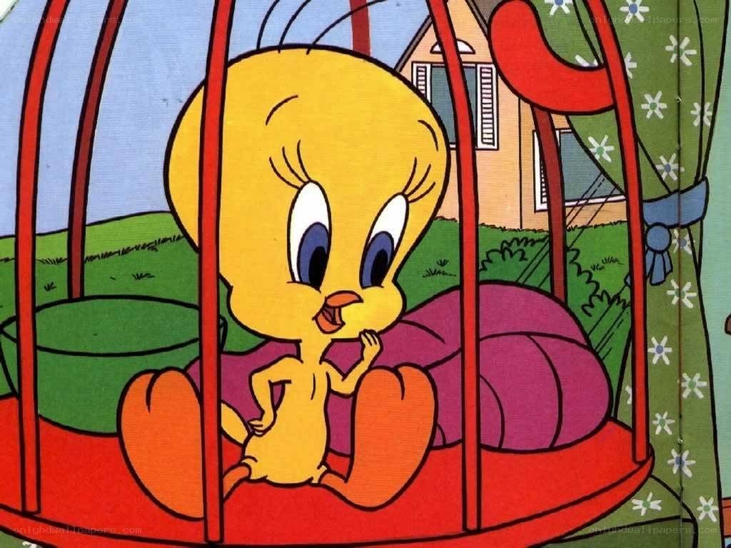 Tweety in a birdcage
