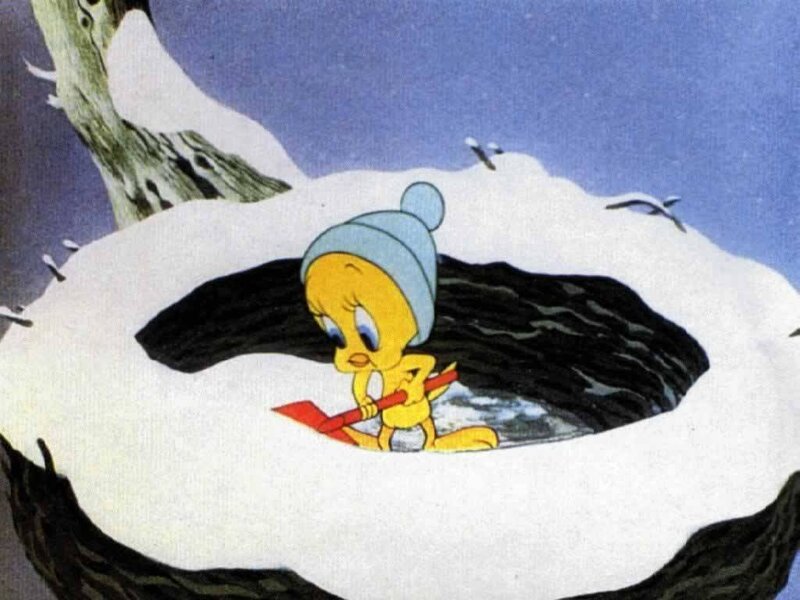 Tweety in a snowy nest