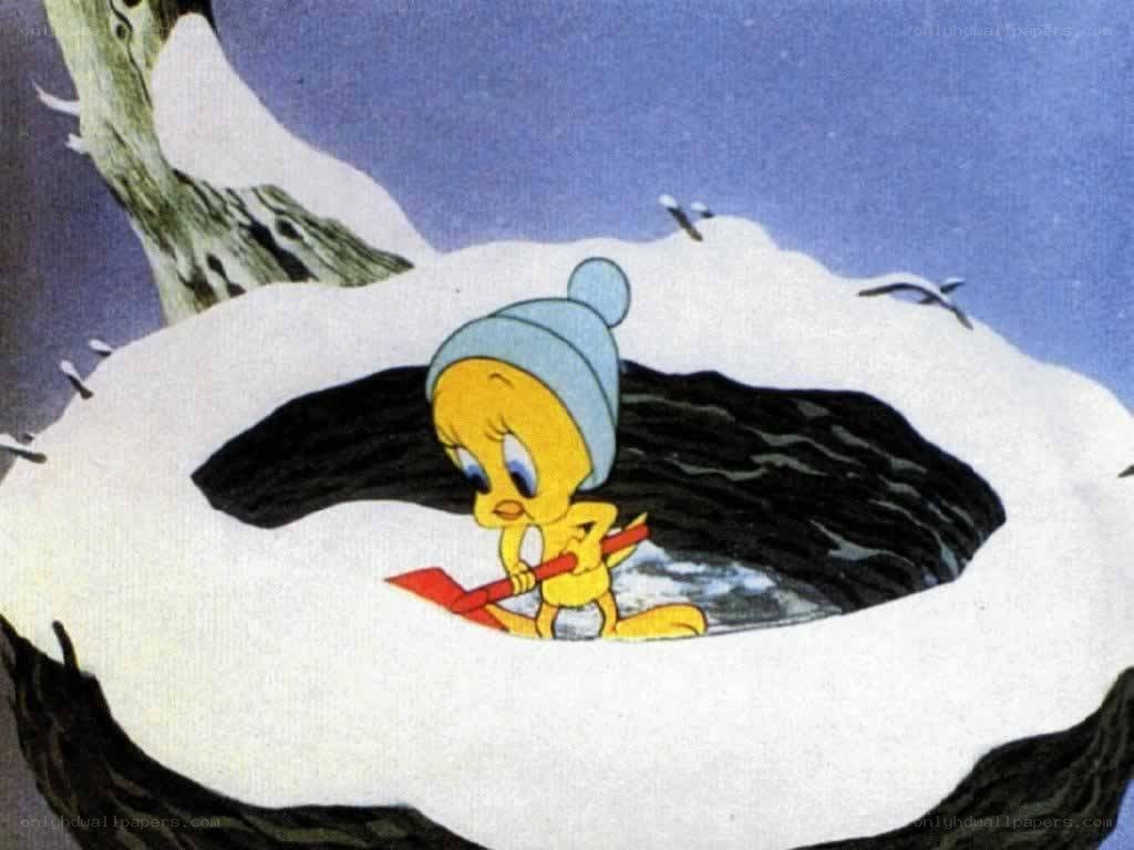 Tweety in a snowy nest