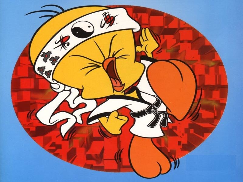 Tweety in karate pose