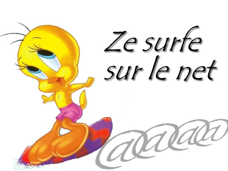 Tweety surfing on the internet