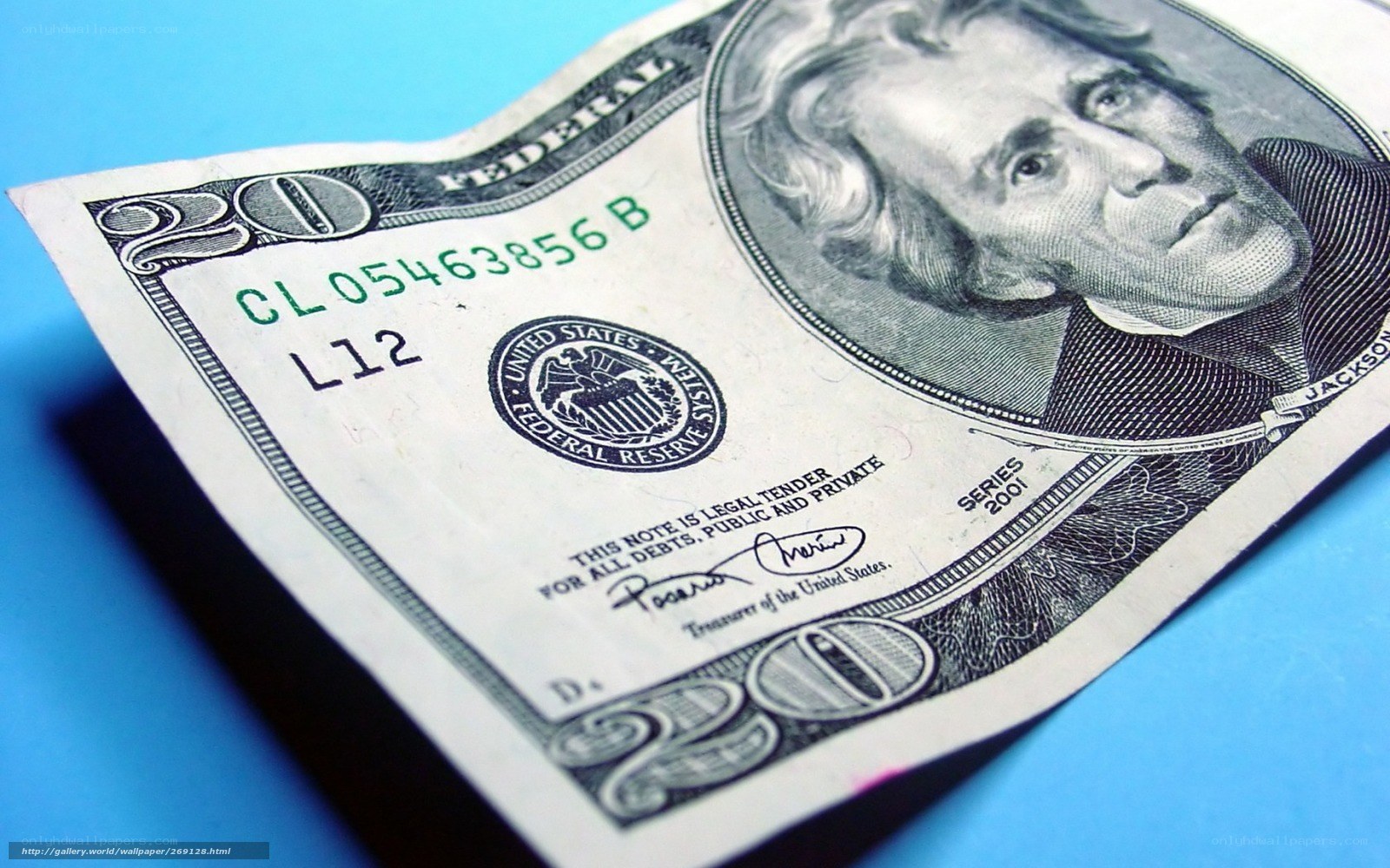 Twenty dollar bill close-up