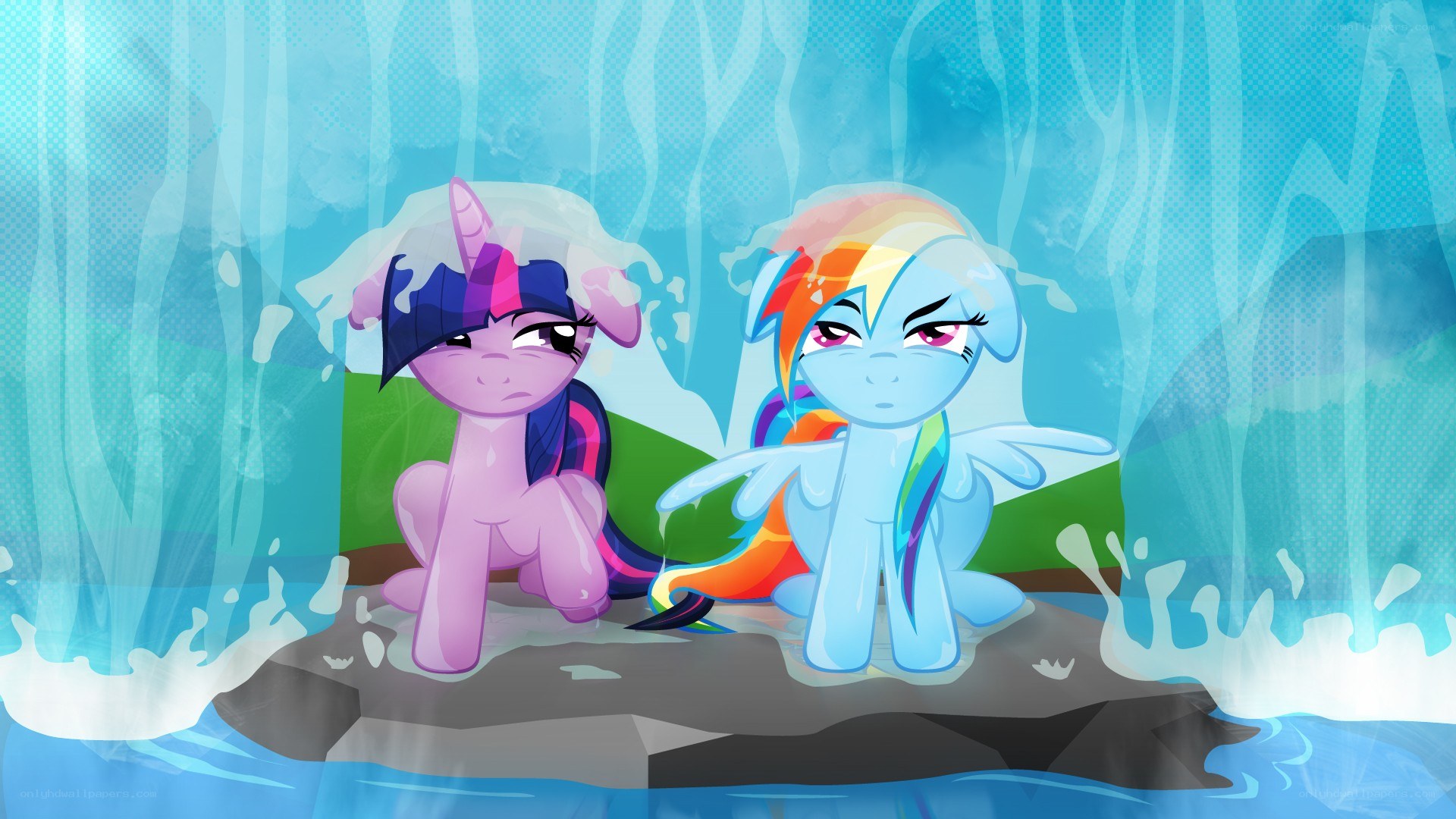 Twilight and Rainbow Dash in rain