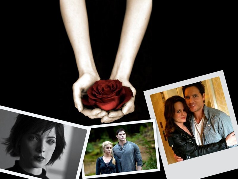 Twilight and related media collage