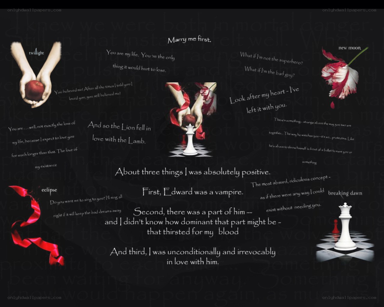 Twilight book collage