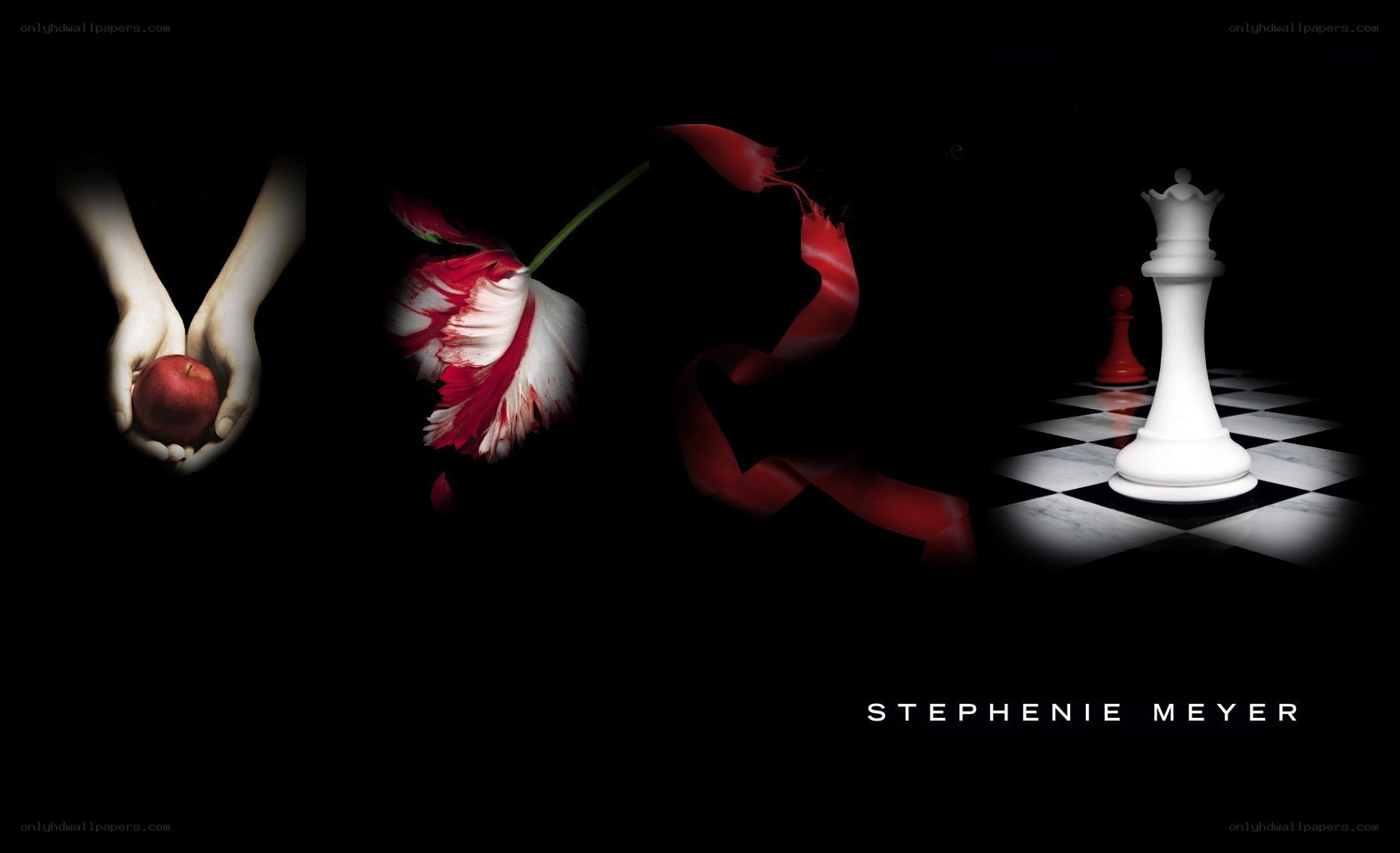 Twilight book cover art