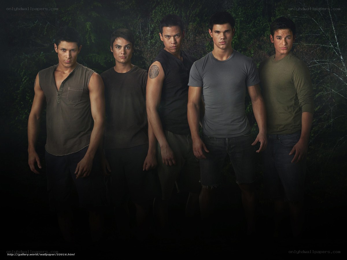 Twilight cast in forest
