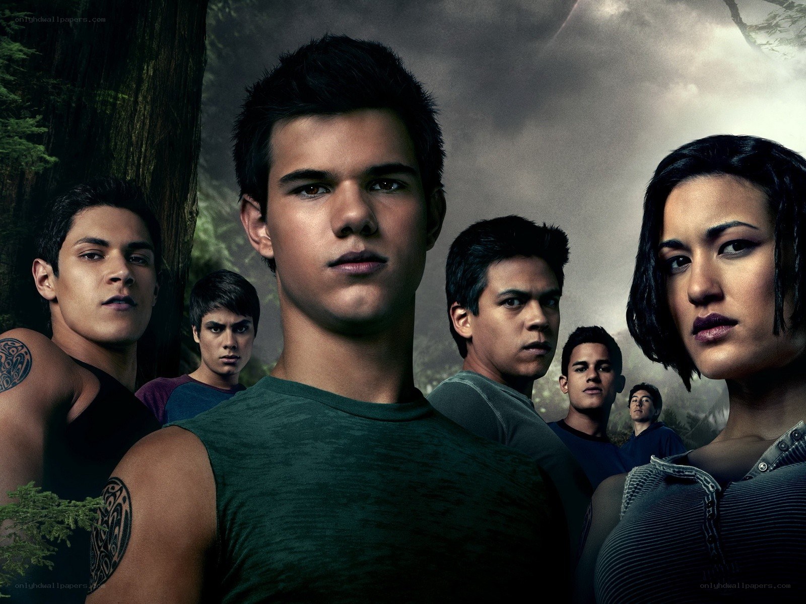 Twilight cast in forest