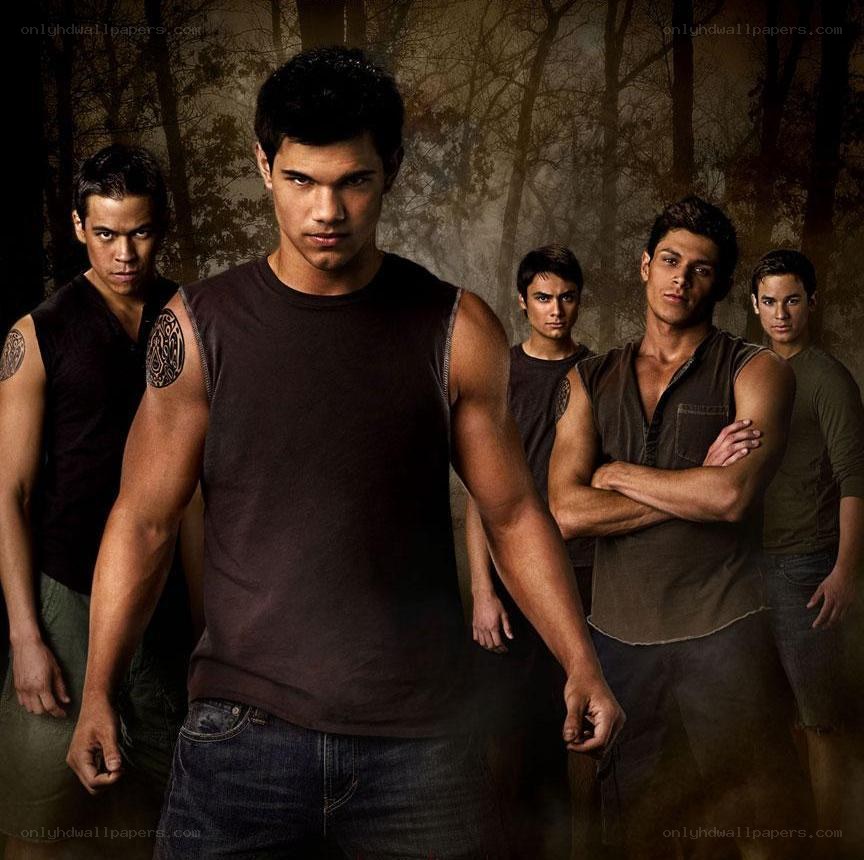 Twilight cast in forest