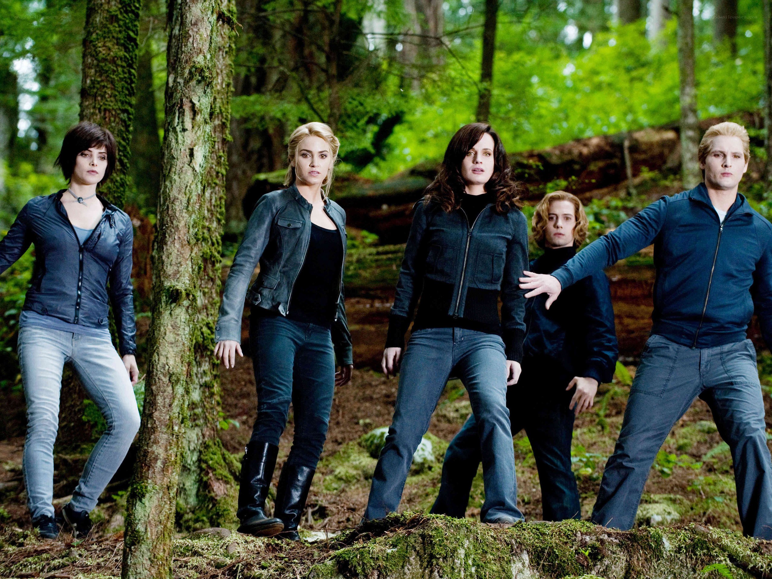 Twilight cast in forest