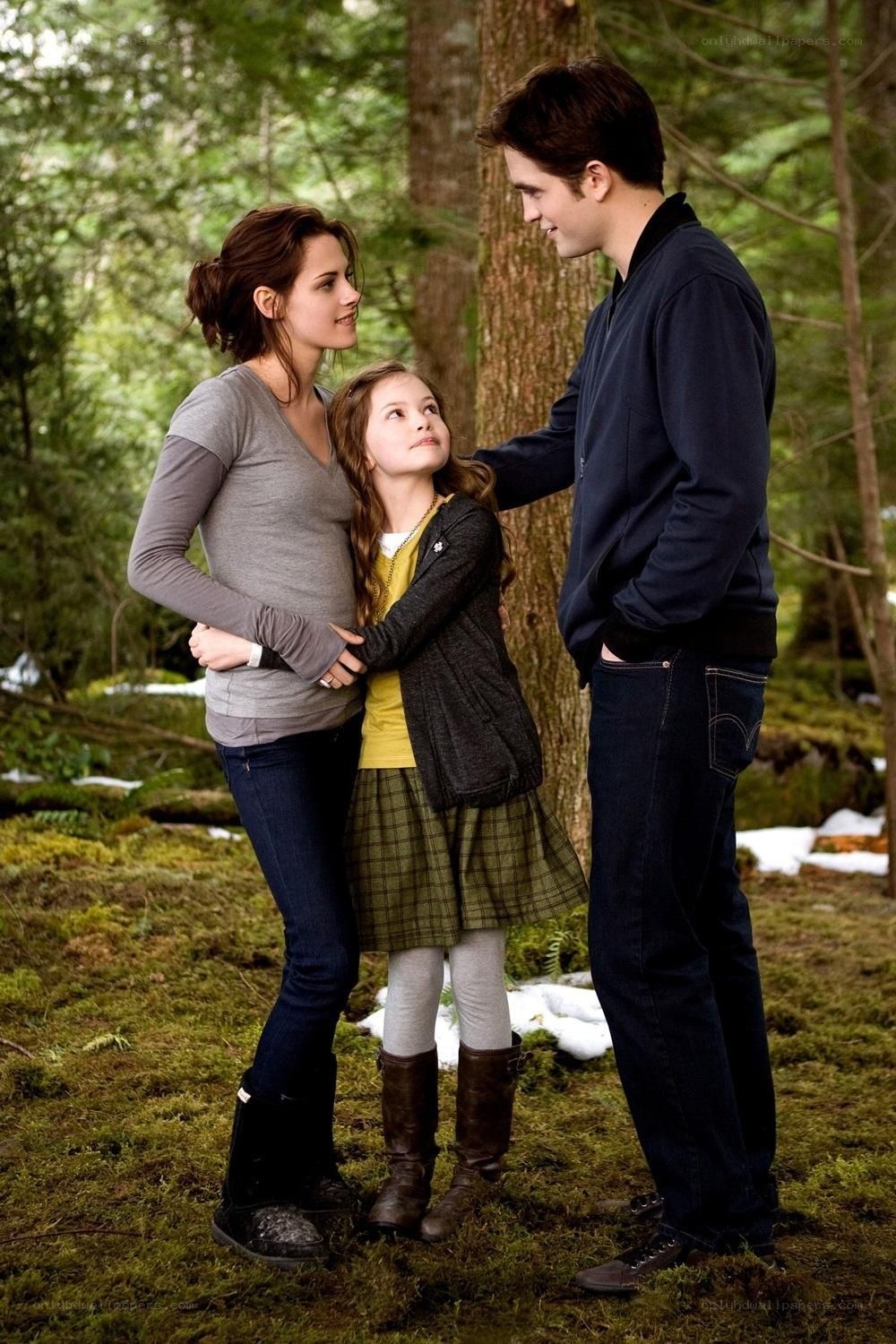 Twilight cast in forest scene