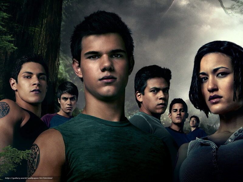 Twilight cast in forest