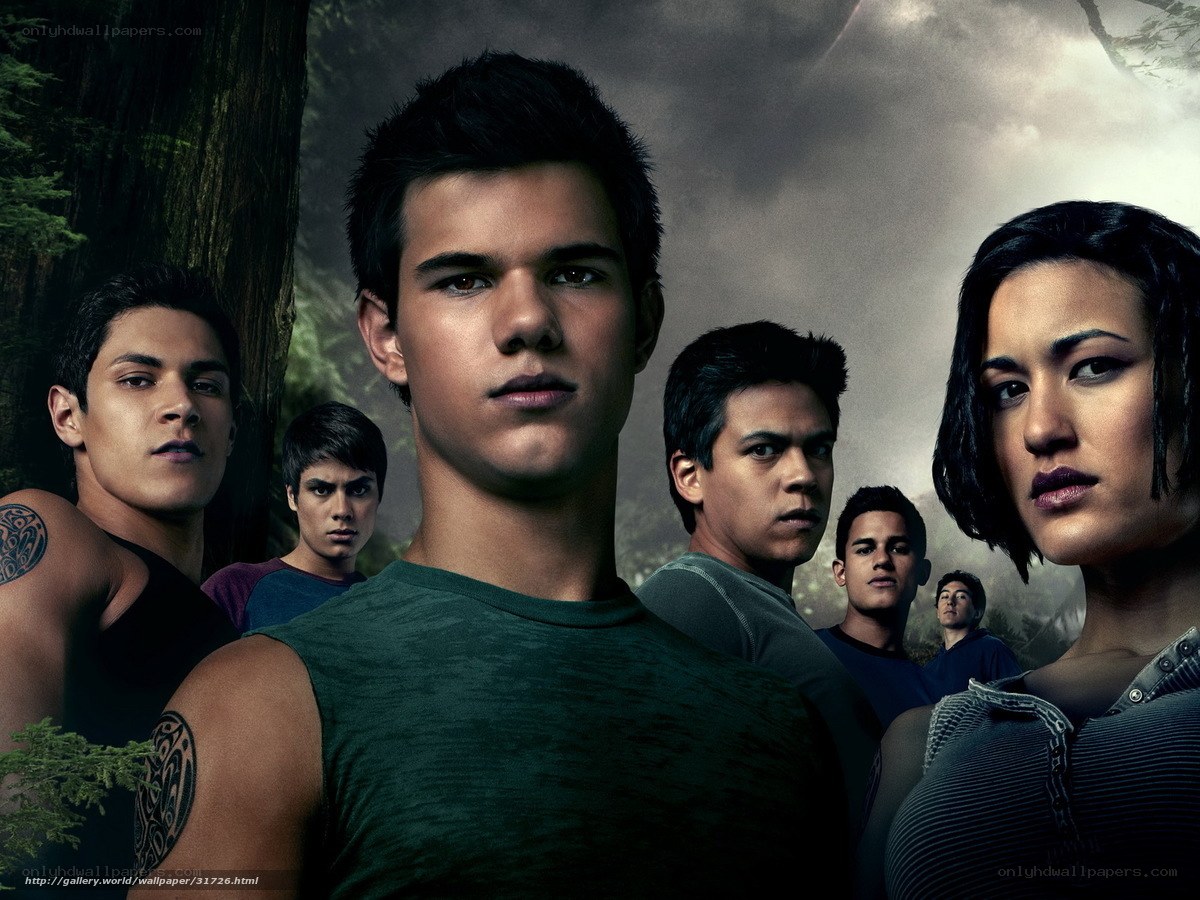Twilight cast in forest