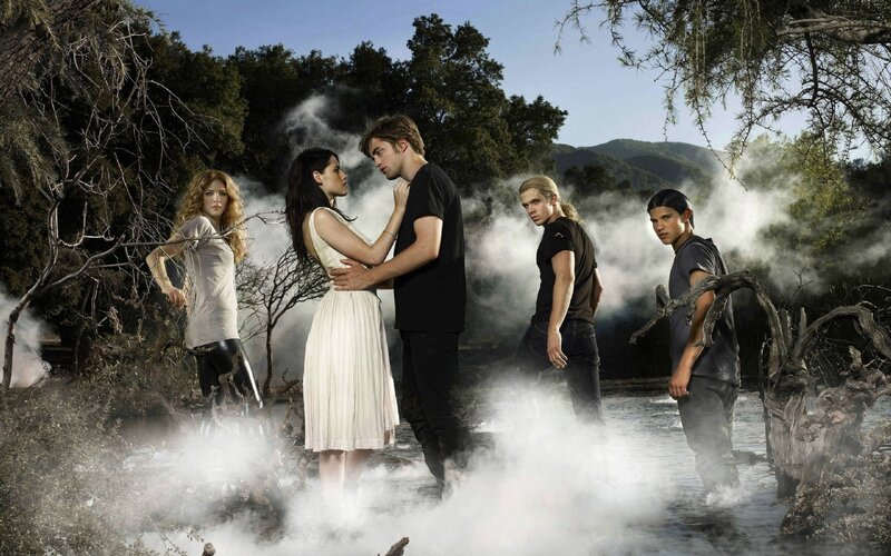 Twilight cast in misty forest