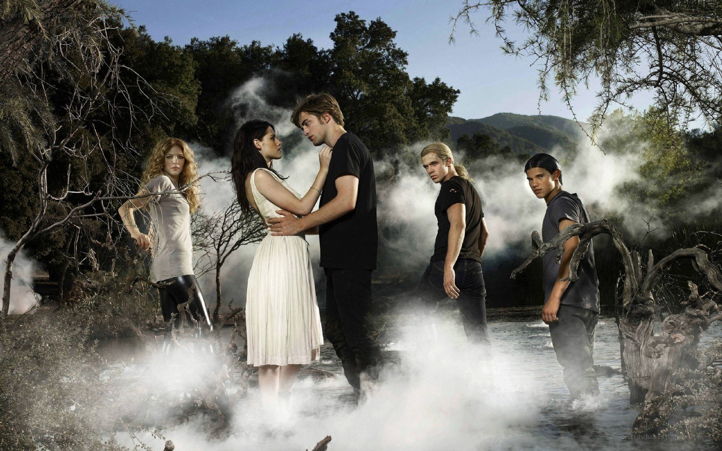 Twilight cast in misty forest