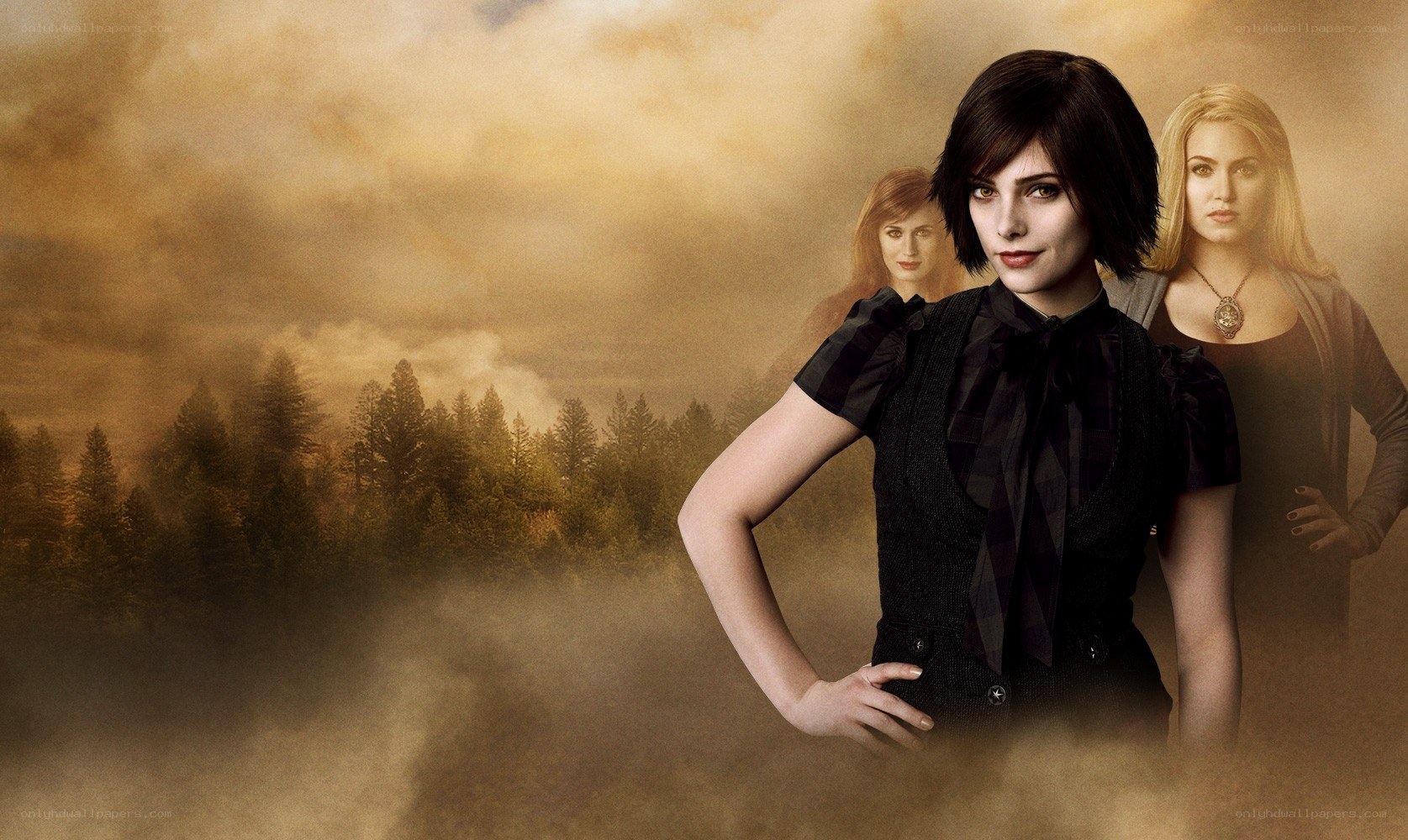 Twilight cast promotional image