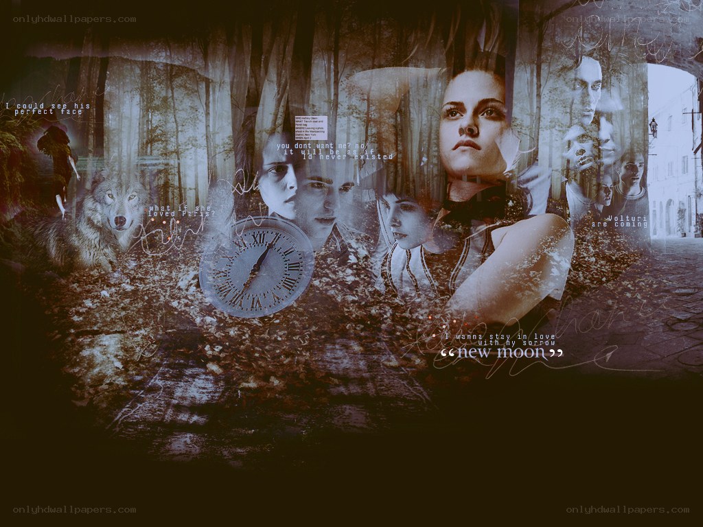 Twilight collage with quotes