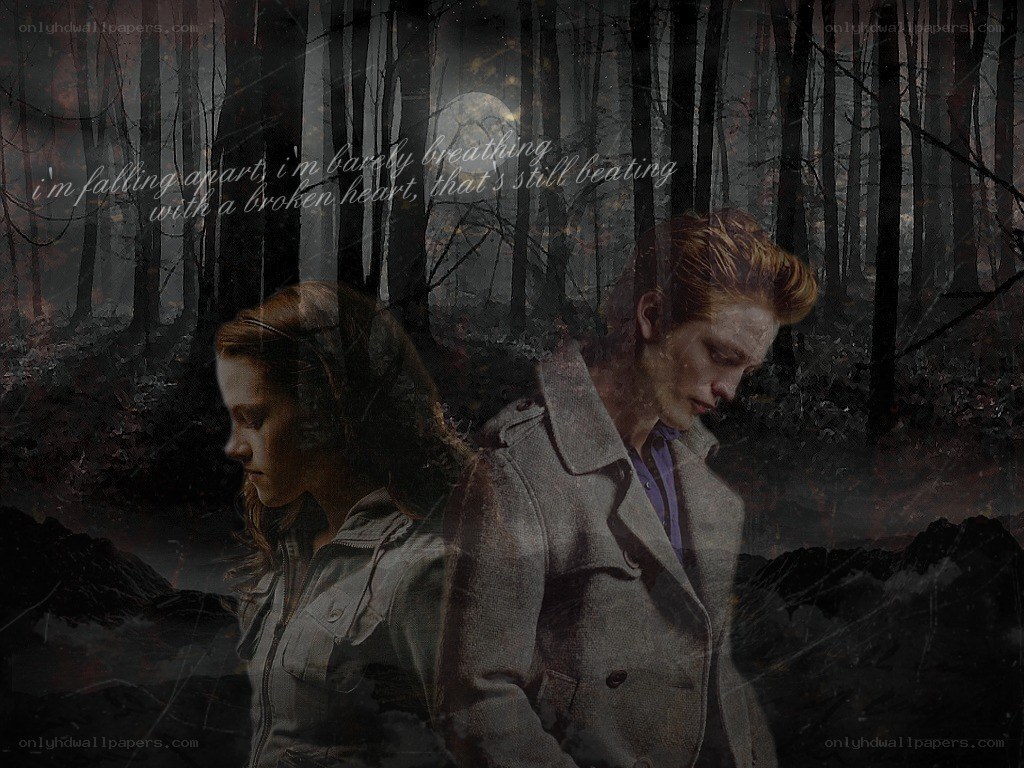Twilight couple in forest