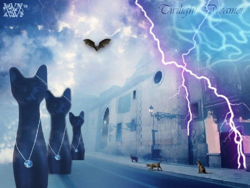 Twilight Dreamer cats and lightning