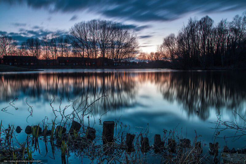 Twilight lake with tree reflections