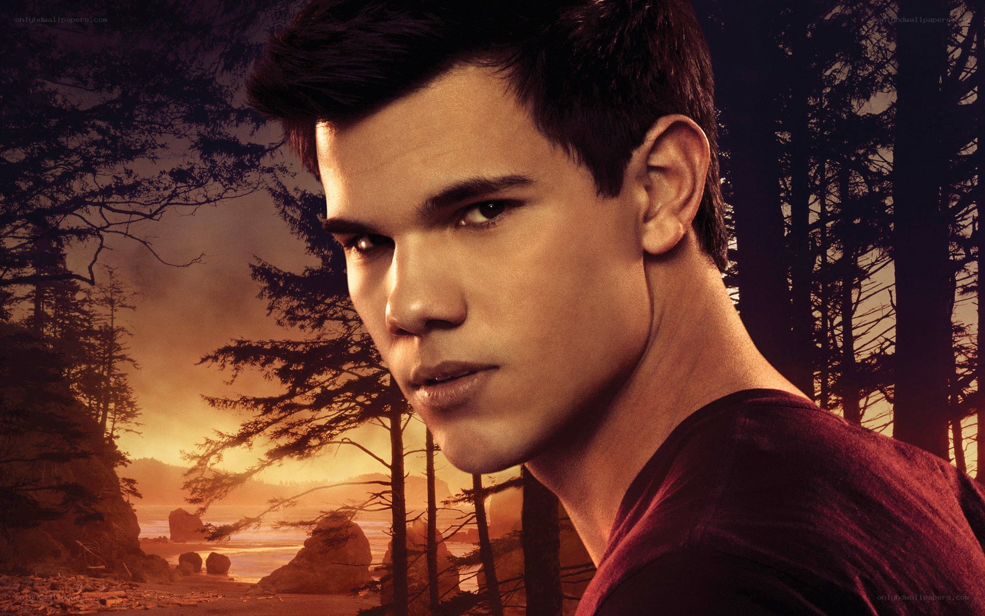 Twilight movie character portrait