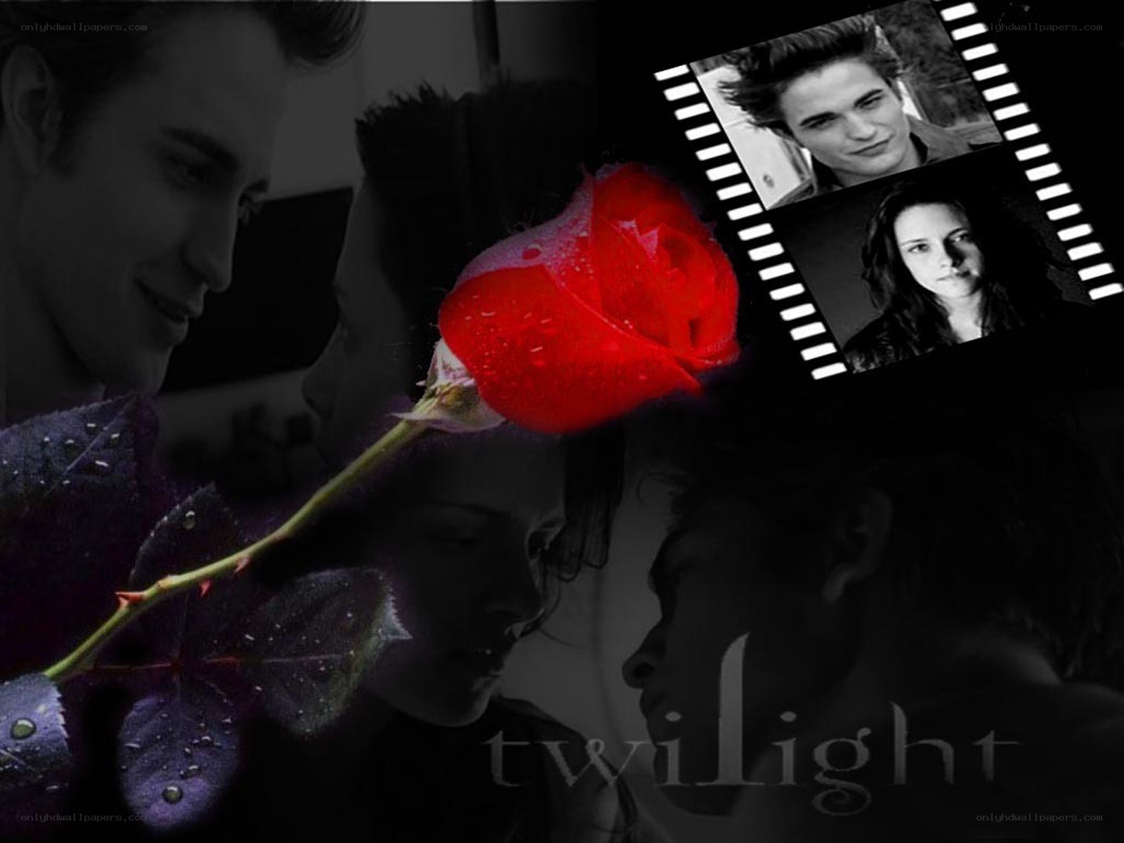 Twilight movie collage