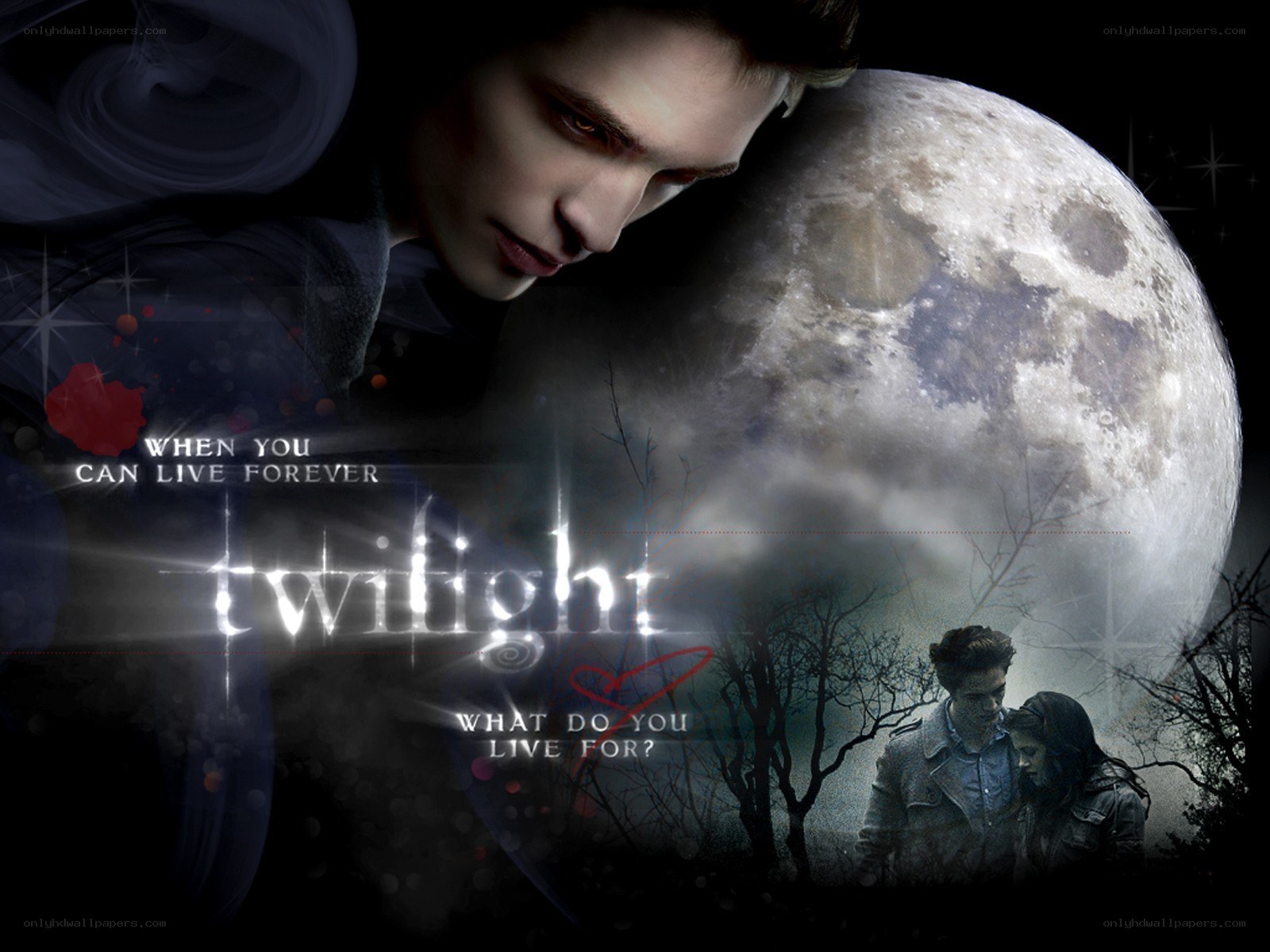 Twilight movie poster