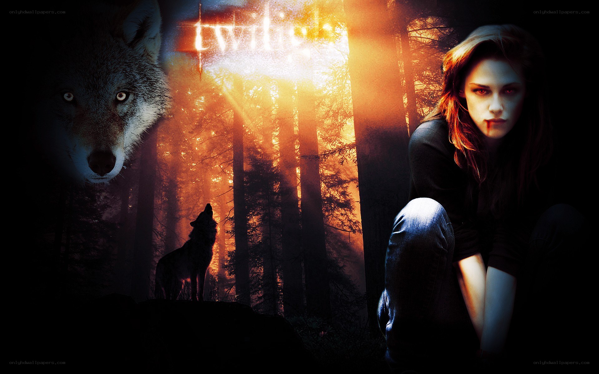 Twilight movie poster